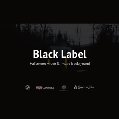 Black Label – Fullscreen Video & Image Background | WP TOOL MART