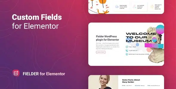 Fielder – WordPress Custom Fields for Elementor | WP TOOL MART