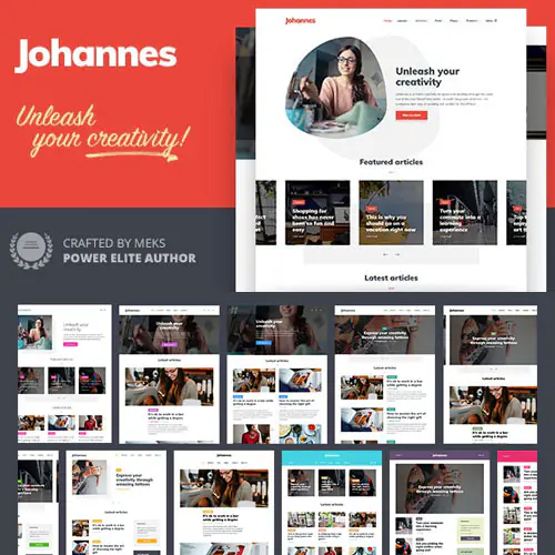 Johannes – Personal Blog Theme for Authors and Publishers | WP TOOL MART