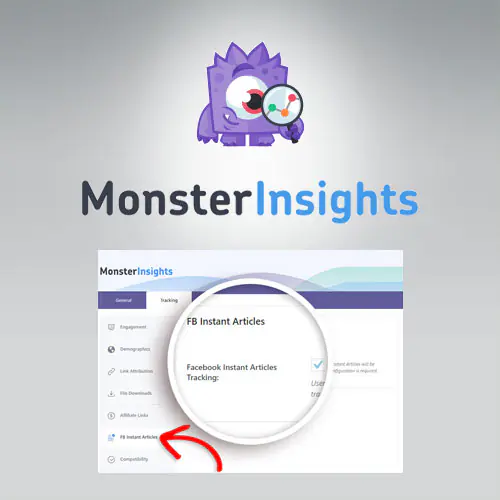 MonsterInsights – Facebook Instant Articles Addon | WP TOOL MART