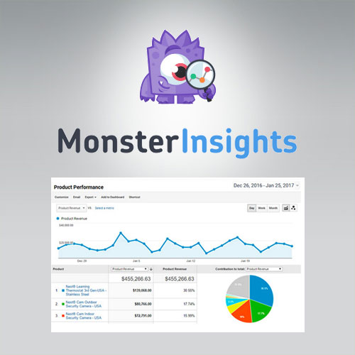 MonsterInsights – eCommerce Addon | WP TOOL MART