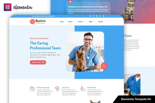 Beetrix - Pet Clinic & Hospital Elementor Template Kit | WP TOOL MART