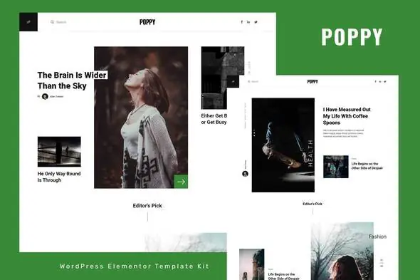 Poppy - Blog & Magazine Elementor Pro Template Kit | WP TOOL MART