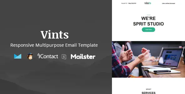 Vints Mail - Online Access + Mailster + MailChimp | WP TOOL MART